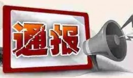 临沂爆料最新通报,多起事件详情及处理结果揭晓