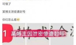 王者爆料白狐视频,王者爆料视频深度解析