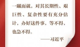 爆料热线新闻,揭秘事件背后真相